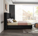 Aiden Velvet Queen Bed Black - AidenBlack-Q