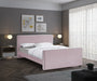 Dillard Velvet Queen Bed Pink - DillardPink-Q