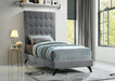 Elly Velvet Twin Bed Grey - EllyGrey-T