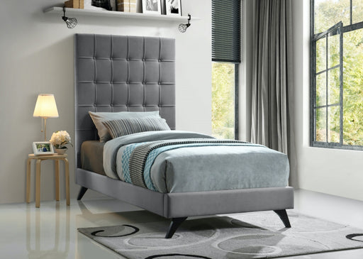 Elly Velvet Twin Bed Grey - EllyGrey-T