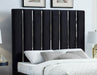 Enzo Velvet Full Bed Black - EnzoBlack-F