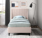 Eva Velvet Twin Bed Pink - EvaPink-T