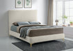 Geri Velvet Full Bed Cream - GeriCream-F