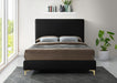 Geri Velvet Queen Bed Black - GeriBlack-Q