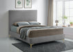 Geri Velvet Queen Bed Grey - GeriGrey-Q