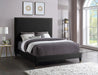 Harlie Velvet Queen Bed Black - HarlieBlack-Q