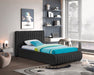 Nash Boucle Fabric Twin Bed Black - NashBlack-T