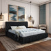 Nico Velvet King Bed Black - NicoBlack-K